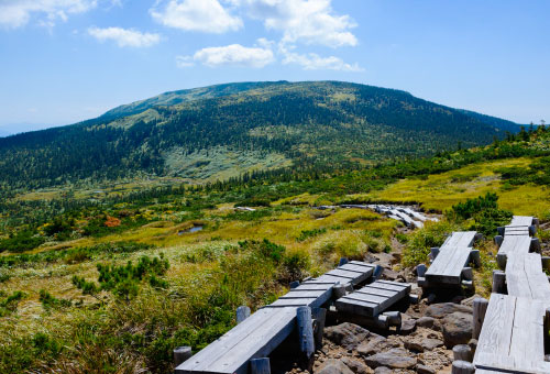 トレッキング・登山
