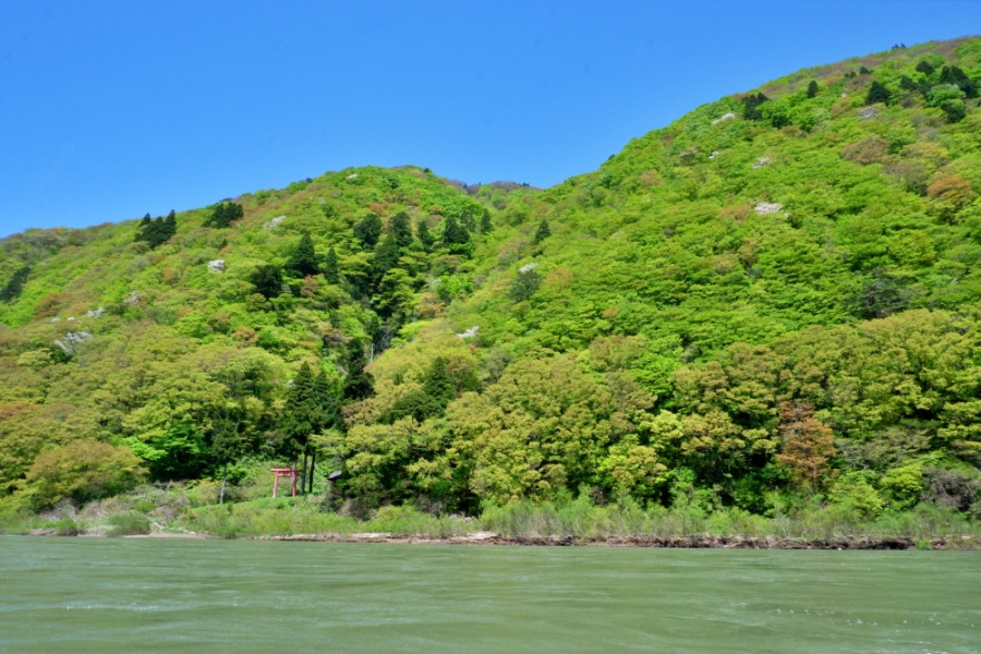 [Features] If you want to enjoy fresh green, you can't miss it! Mogami river boat ride and mystical Genso no Mori (Forest of Illusion)