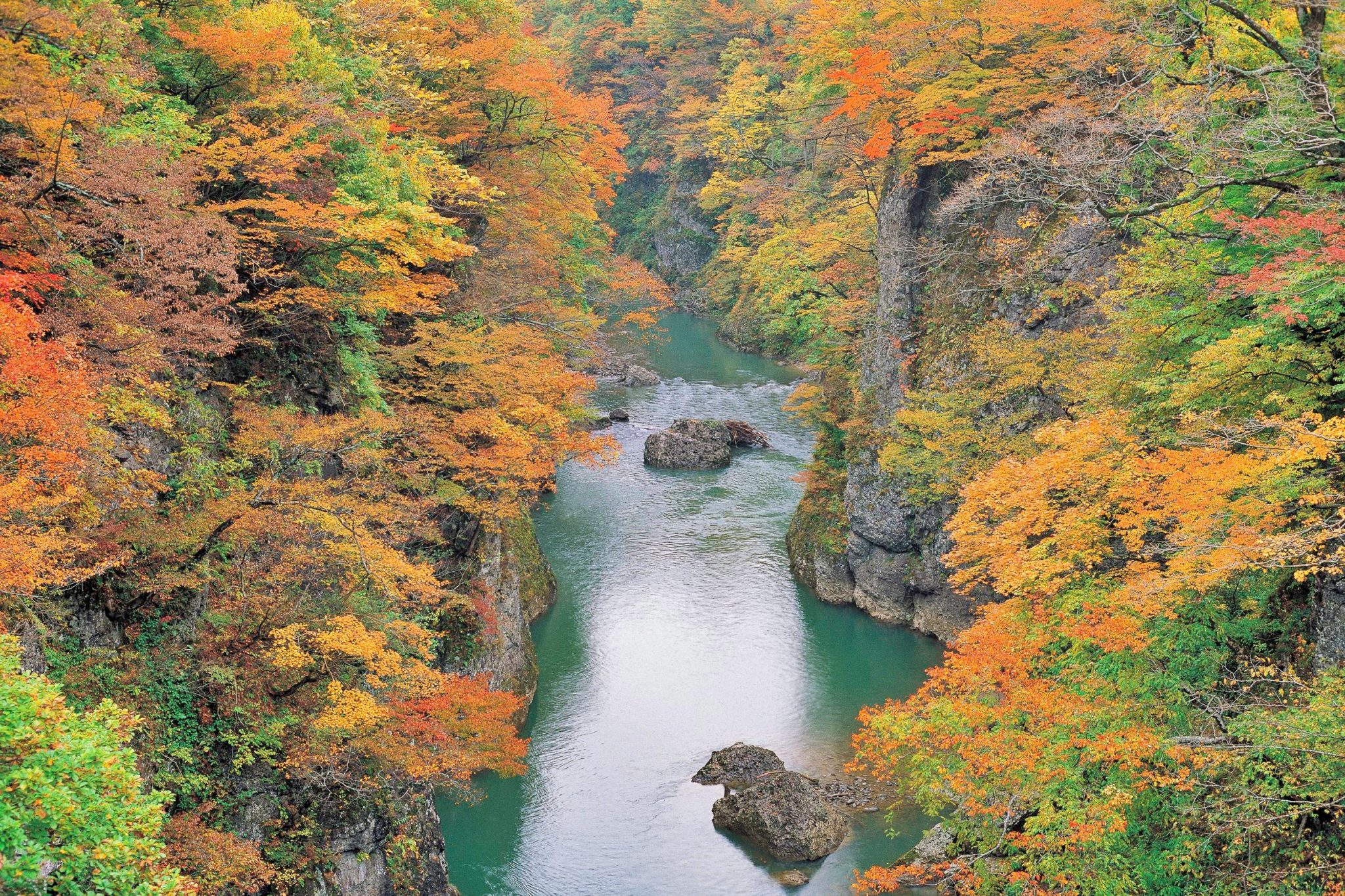 まとめ 山形県 秋のドライブ 散策はここで決まり 紅葉名所 おすすめ10選 Visit Yamagata