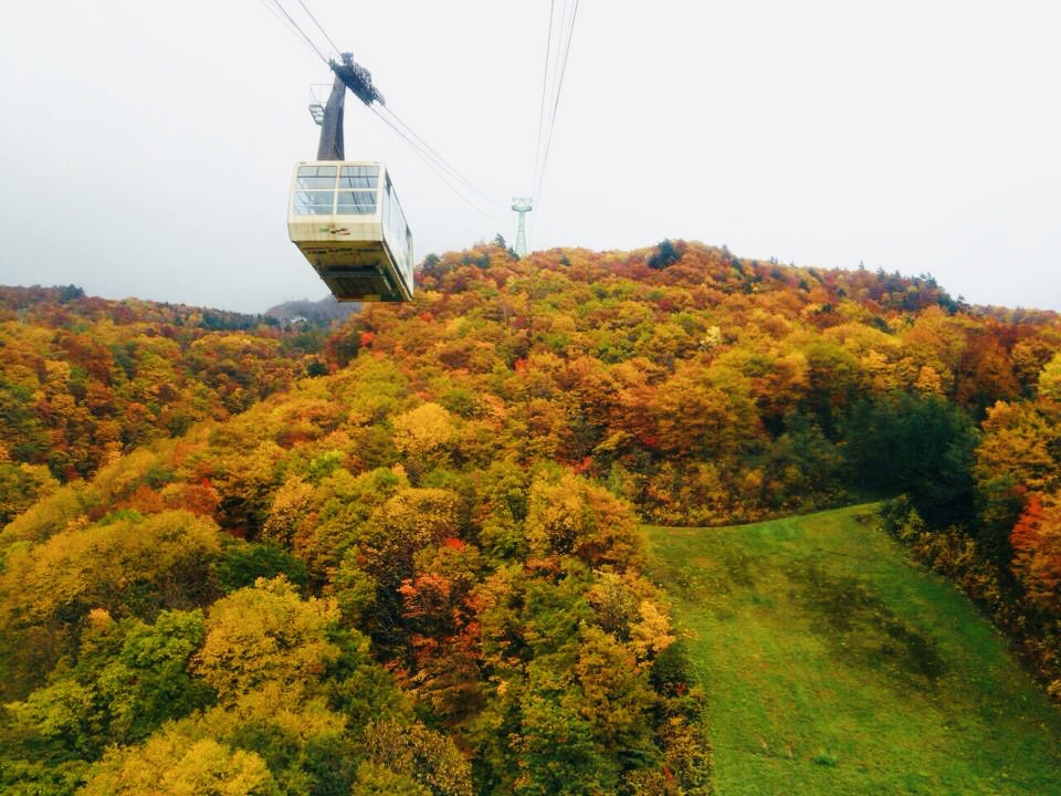 [Recommended] Autumn Leaves at Zao ★ Guided tour of Dokko-numa pond and Chuo Kogen Area (round trip ropeway + lunch included ♪)
