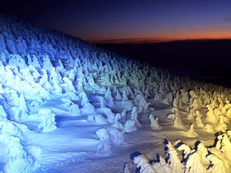 「GoTo!樹氷夜号」上山からライトアップされた山形蔵王の樹氷を見に行こう！