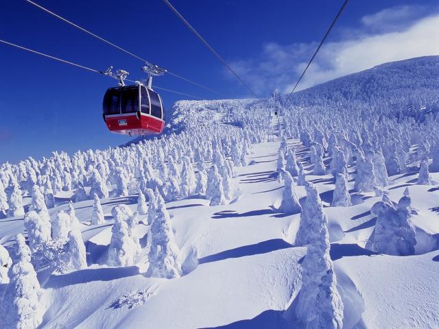 「GoTo!樹氷昼号」上山からお得なツアーで山形蔵王の樹氷を見にいこう♪