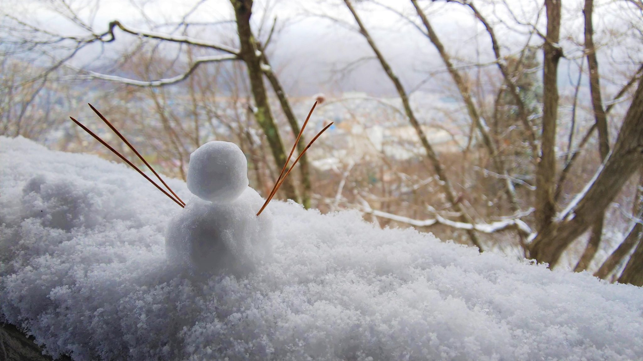 【特集記事】大人の遠足！｜雪がちらつく山形市のランドマーク「千歳山」に行ってきました。