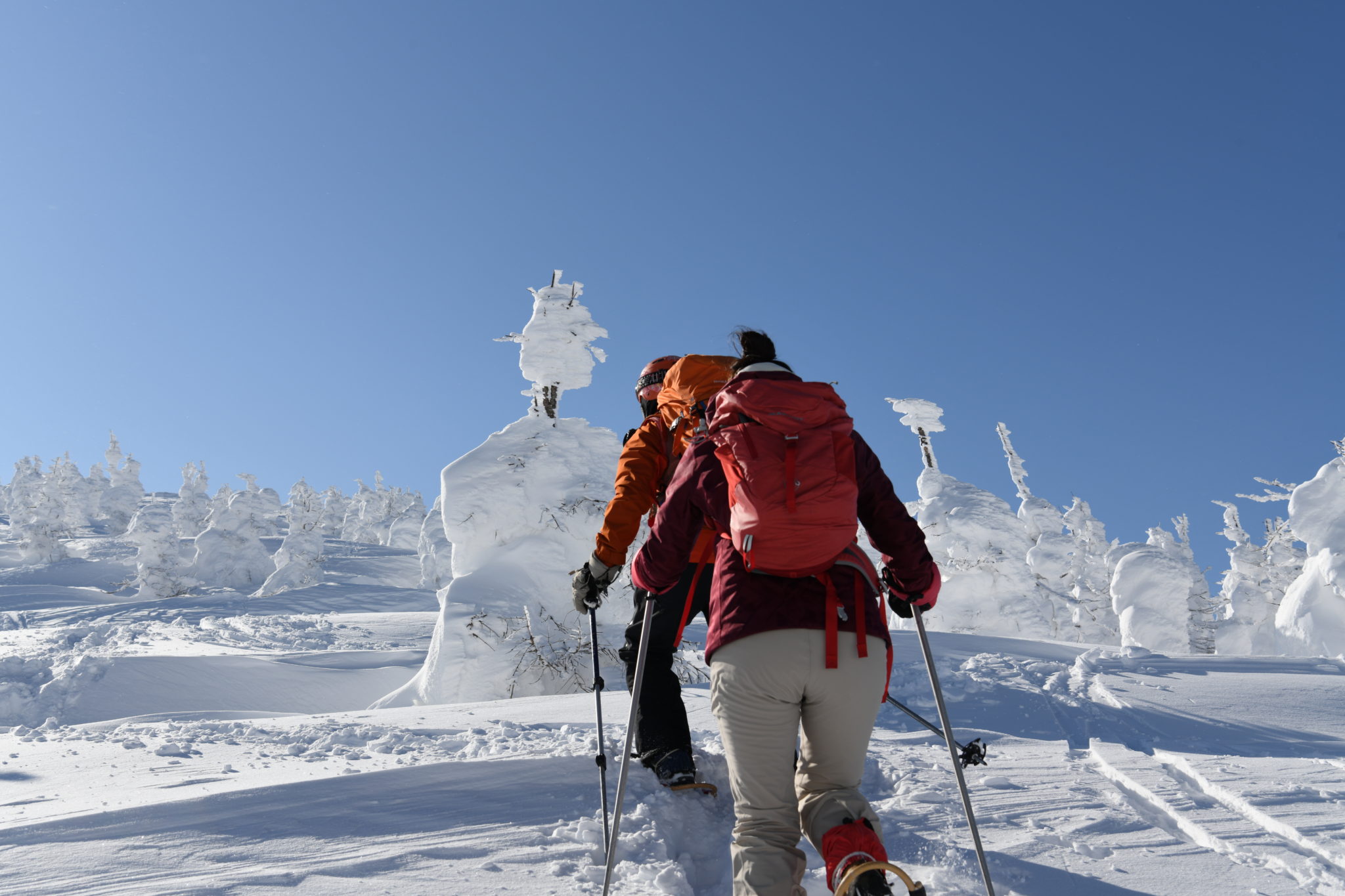 【体験記事】2025年 山形蔵王｜山岳インストラクターと行く「かんじきスノートレッキング」｜氷と雪の芸術「樹氷原」「霧氷原」の中へ