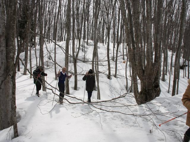 6. 雪の足跡探検ウォーキング(初級コース)