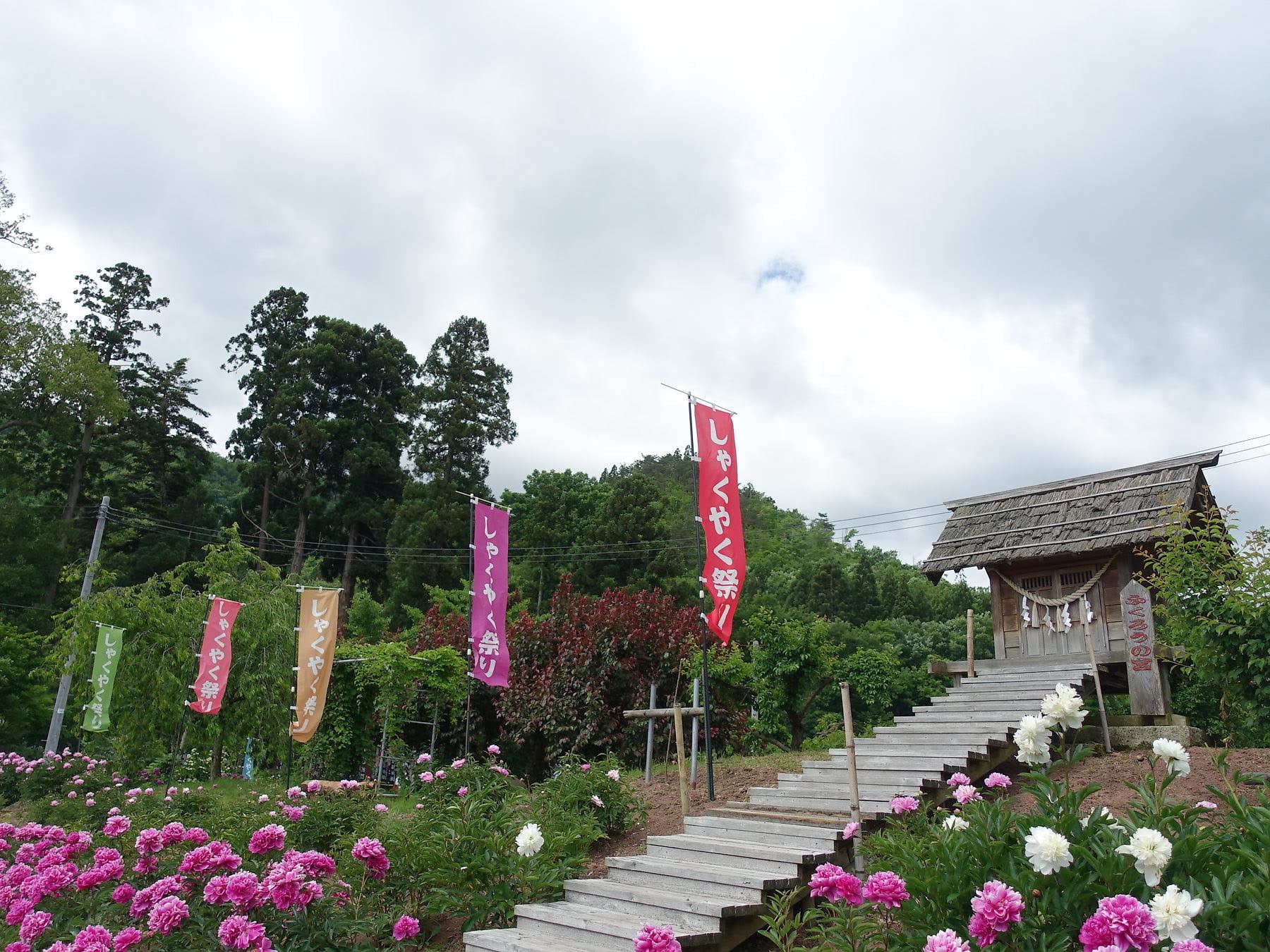 芍薬の杜 厄除の杜 諏訪神社