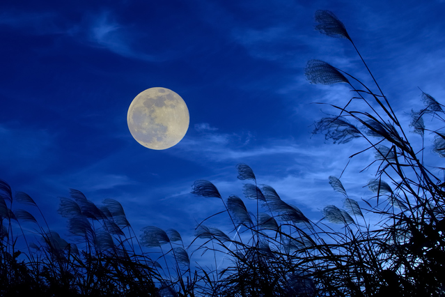 [三百坊の物語 名月] 雅楽と愛でる十五夜　〜雅楽が響き渡る高原で風流で贅沢なお月見をしませんか〜