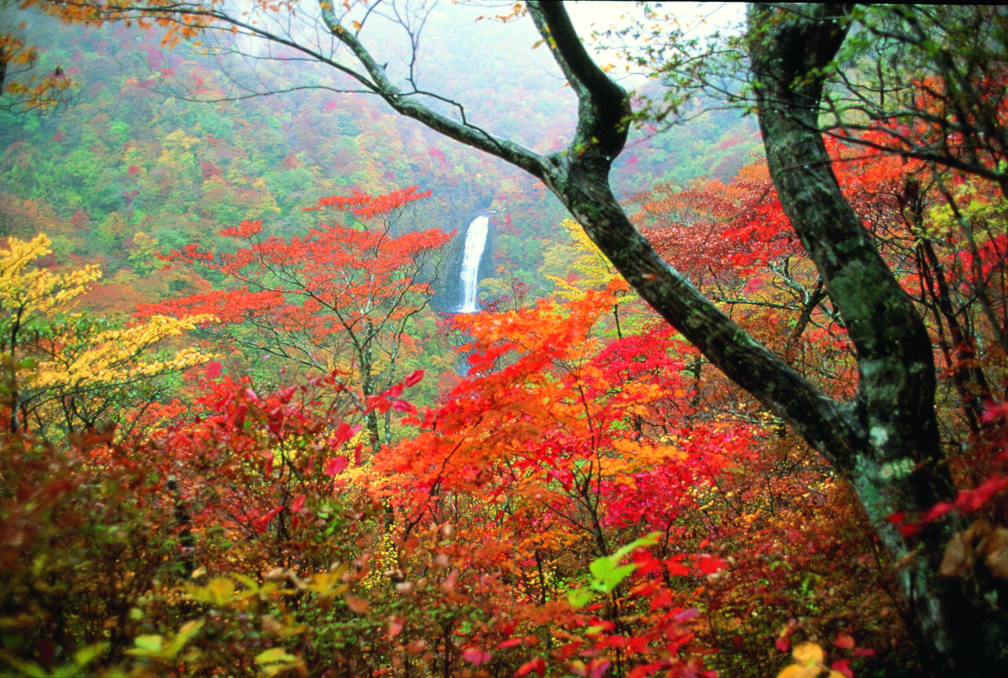 Fudotaki Falls
