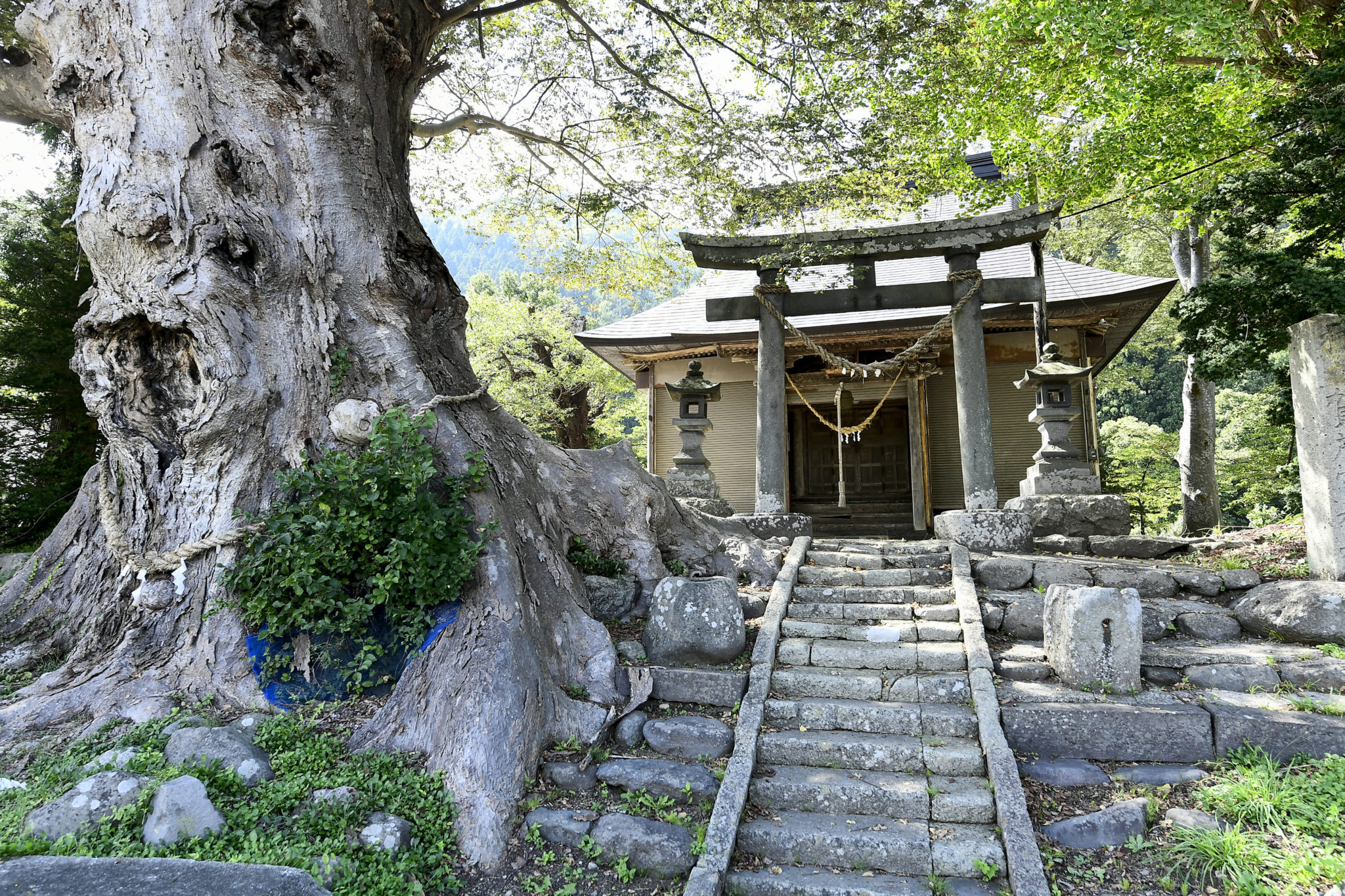 Kamorai Shrine