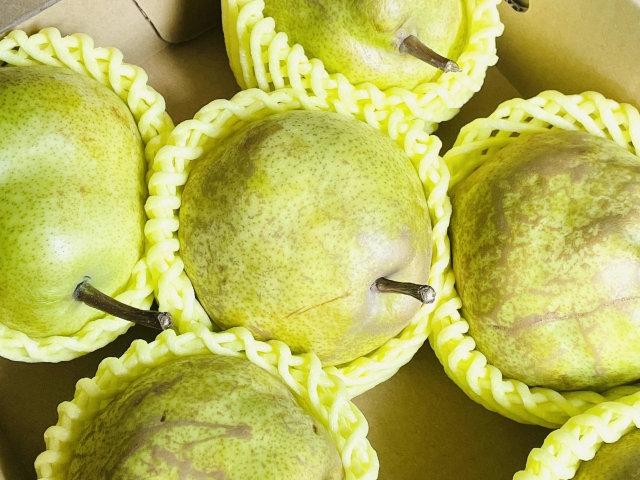 南陽市農業祭 秋の収穫感謝祭