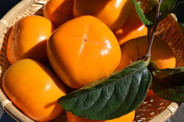 城下町 松山 秋まつり 2023