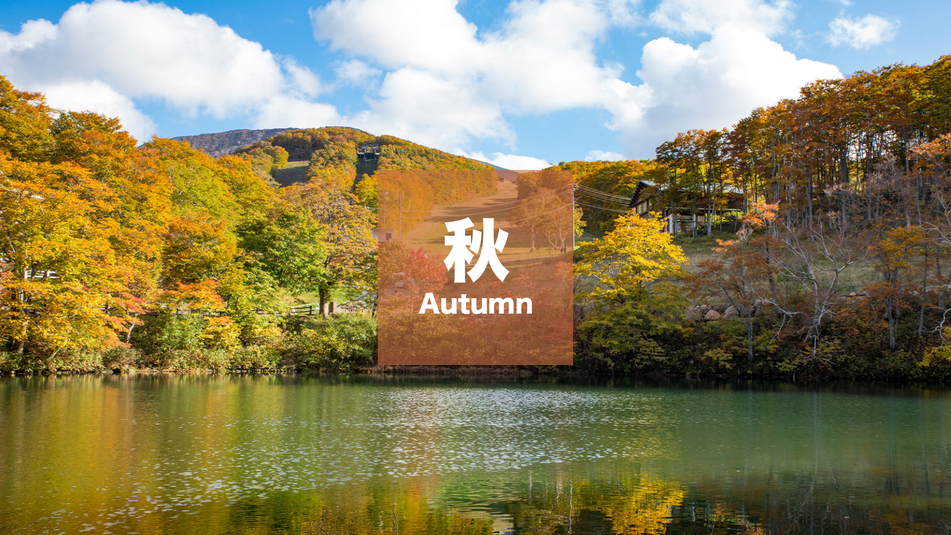 秋のアクティビティ