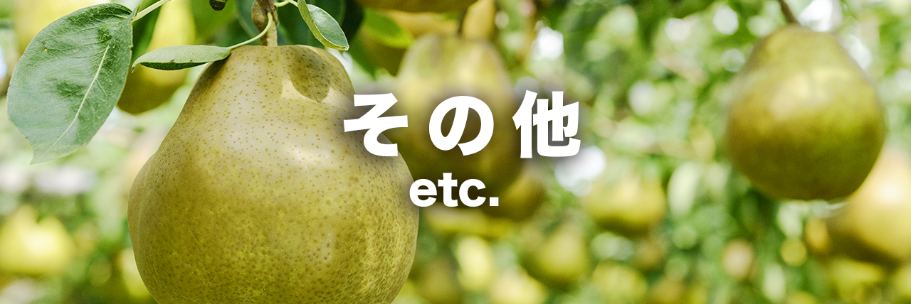 その他地域のアクティビティ