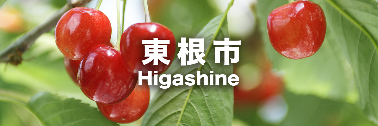 東根市のアクティビティ