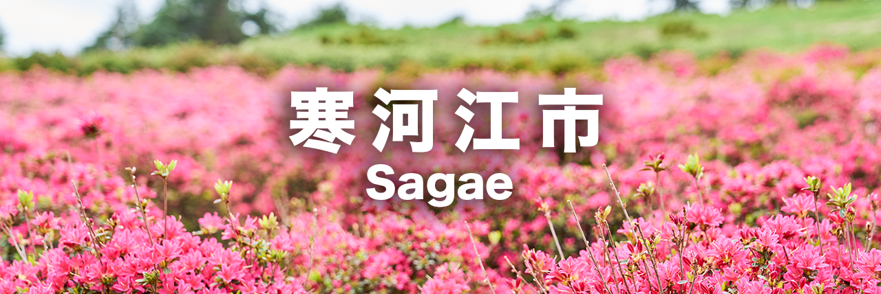 寒河江市のアクティビティ