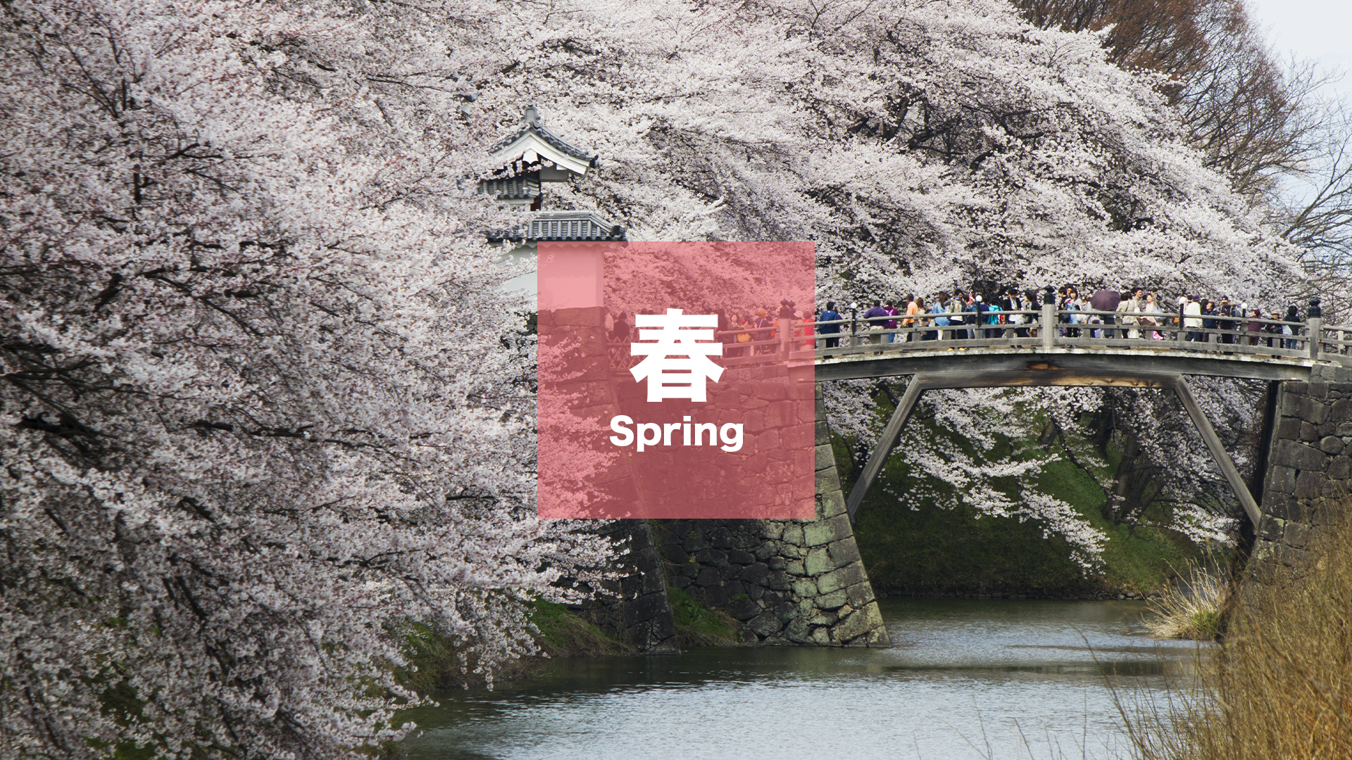 春のアクティビティ