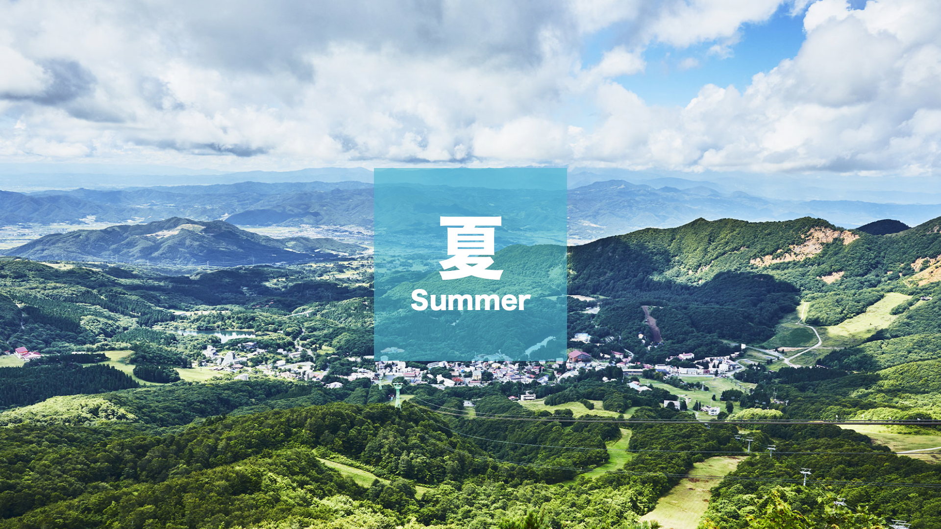 夏のアクティビティ