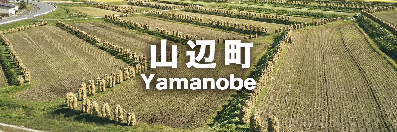 山辺町のアクティビティ