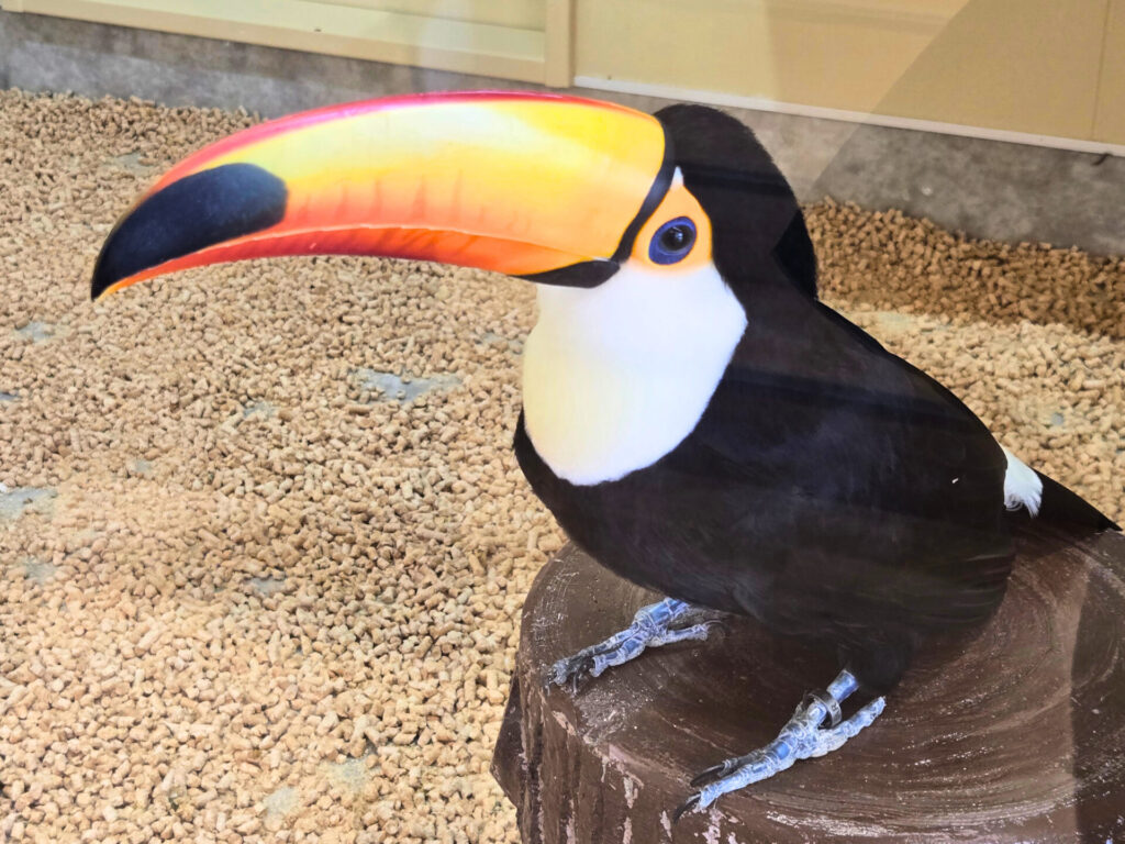 山形県 河北町児童動物園がリニューアルオープン！｜無料で365日