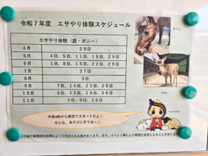 イベントチラシ