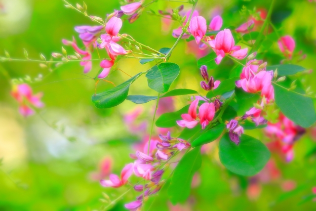 はぎまつり 2025