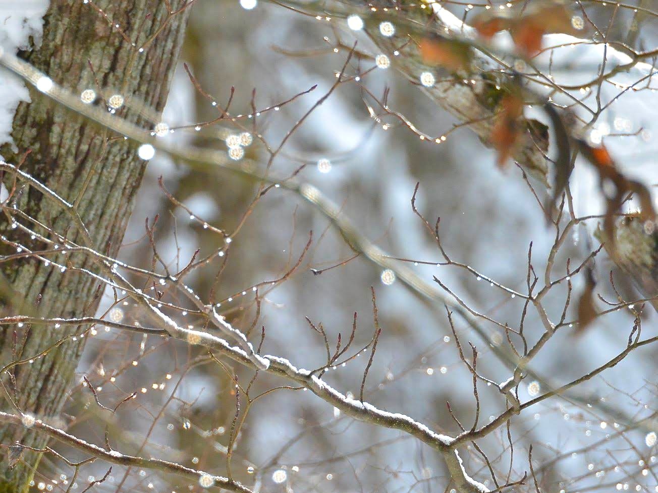 【毎週更新】2026年 山形県の週末ベント情報 |1月31日(土)・2月1日(日)