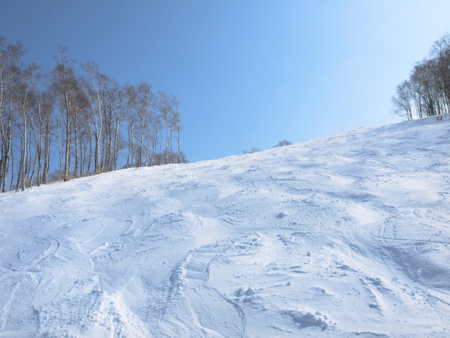 鮭川村里山雪板体験試乗会