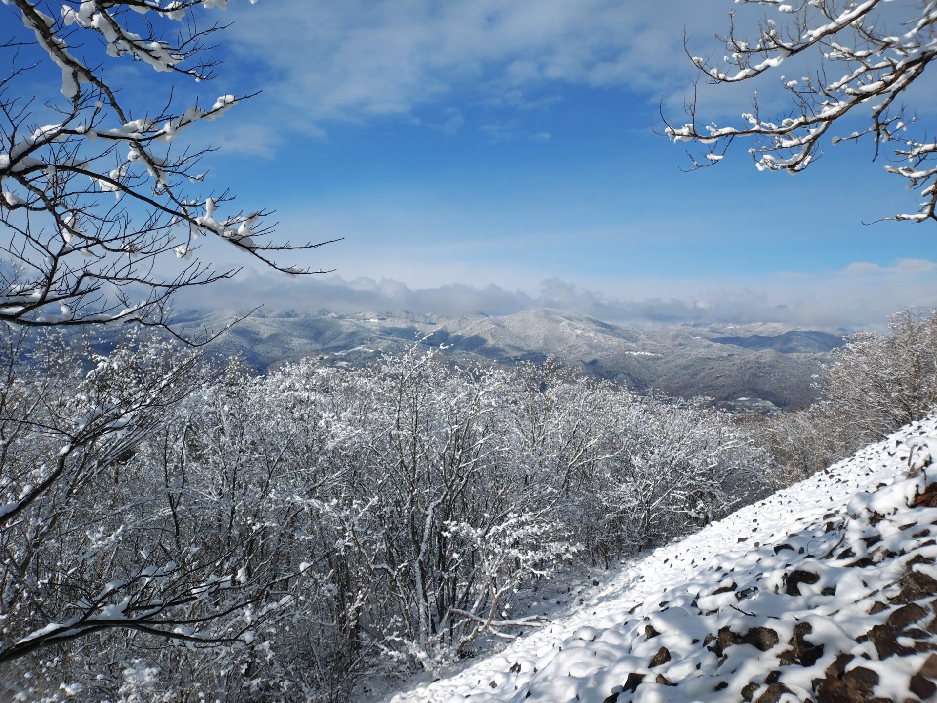 【毎週更新】2026年 山形県の週末ベント情報 ｜1月10日(土)～1月12日(月・祝)
