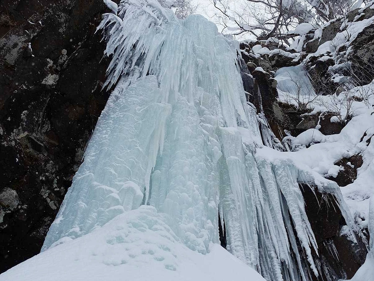 【毎週更新】2026年 山形県の週末ベント情報 ｜2月7日(土)・2月8日(日)