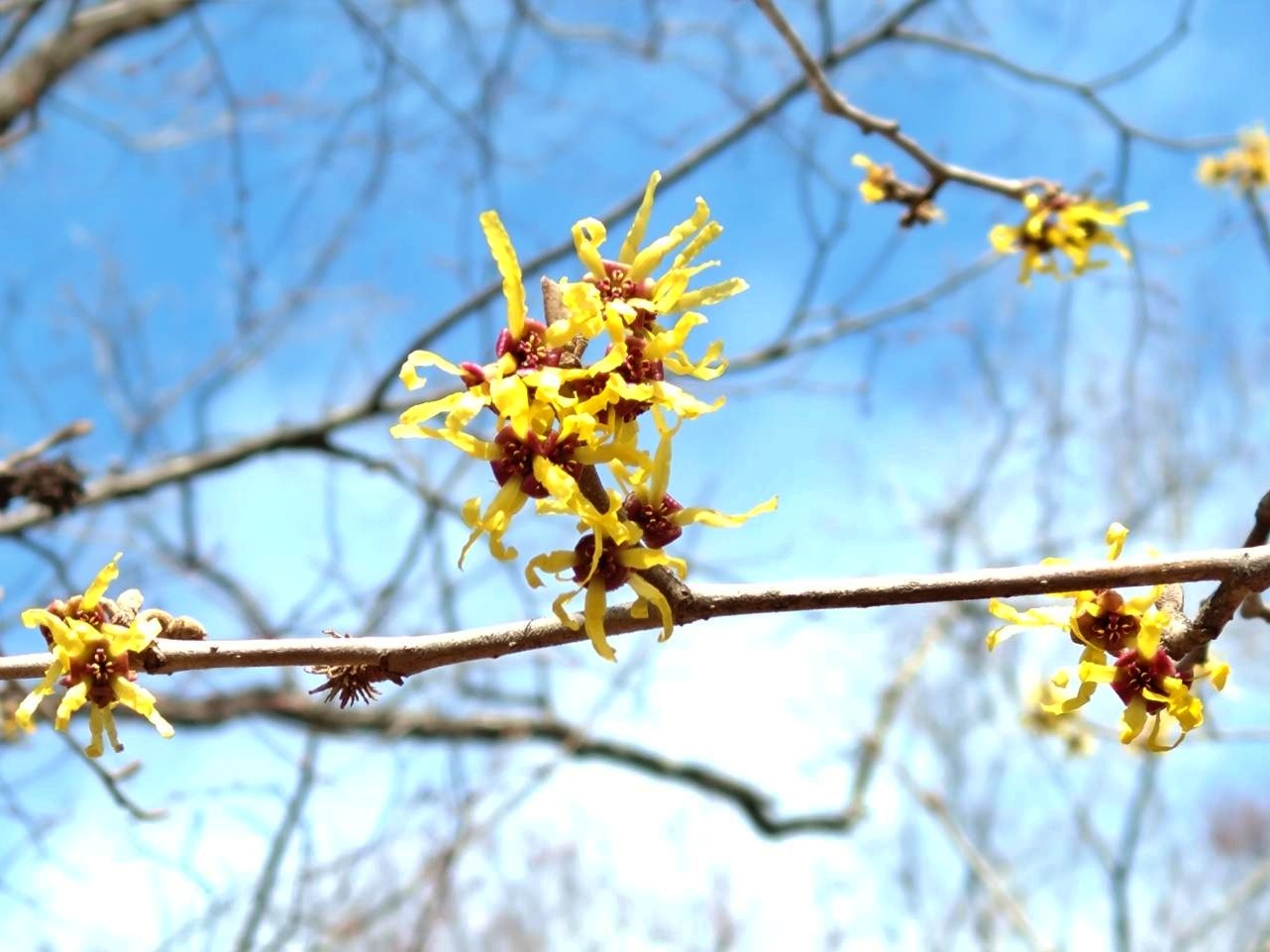 【毎週更新】2026年 山形県の週末ベント情報 |3月7日(土)・3月8日(日)