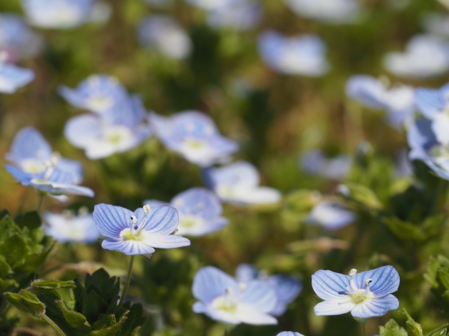 【毎週更新】2026年 山形県の週末ベント情報 ｜3月14日(土)・3月15日(日)